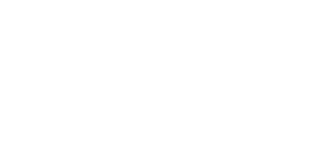 logo web